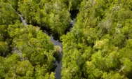 Menakar Jalan Panjang Menuju Net Zero Emission 2060, Begini Peran GIZ dalam Transformasi Hijau Indonesia