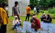 Hidroponik Sistem Sumbu Jadi Solusi Berkebun di Lahan Sempit, Murah dan Mudah untuk Pemula