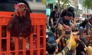 Peternak DIY Bagi-bagi 1.600 Ayam Gratis di Malioboro, Protes Harga Telur Anjlok