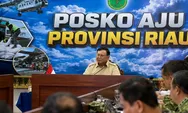 Prabowo Tinjau Karhutla di Sumsel, Soroti 2.894 Titik Panas di Sumatera