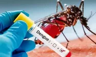 Waspadai Lonjakan Kasus DBD di 2024, Simak Tips Efektif Mengurangi Risiko Demam Berdarah