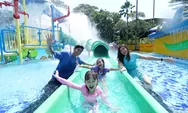 Mau Liburan di The Jungle dengan Harga Murah? Yuk Simak Caranya Disini!