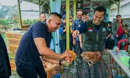 Jenal Mutaqin Bagikan Ayam Petelur, Ikhtiar Dorong Pertumbuhan Ekonomi Warga
