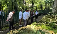 Taman Lumut Terbesar di Indonesia Direvitalisasi, Ini Wajah Baru Kebun Raya Cibodas di Usia 174 Tahun