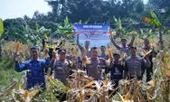 Panen Raya Jagung 2026 di Bogor, Sat Lantas Polres Bogor Perkuat Program Ketahanan Pangan