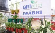 Warga Tuminting bersama BRInita sukses transformasi lahan sampah menjadi lahan urban farming