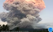 Gunung Lewotobi Laki-Laki Erupsi, Puluhan Penerbangan Dari dan Menuju Bali Dibatalkan