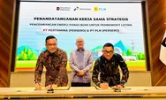 Perkuat Kolaborasi Geothermal Pertamina dan PLN, Danantara Indonesia Sebut Untuk Akselerasi Transisi dan Ketahanan Energi Nasional