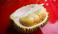 Malaysia jadikan durian sebagai buah nasional, Netizen: Apapun diklaim