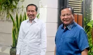 Abolisi Tom Lembong dan Amnesti Hasto: Jokowi Sebut Itu Hak Istimewa Presiden