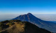 5 Hewan Langka yang Ada di Gunung Merbabu Jawa Tengah, Nyaris Punah dan Tidak Bisa Ditemui di Manapun