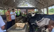Kalahkan Boyolali dan Banyumas, Peternak Sido Makmur Gunungpati Juara I Lomba KTT Sapi Perah Jateng