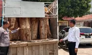 Jajaran Polres Batang Berhasil Amankan 65 Kayu Jati Ilegal, Pelaku Utama Masih dalam Pengejaran