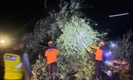 Hujan Disertai Angin Kencang, Pohon Tumbang Timpa Rumah dan Tutup Jalan di Pegandon Kendal