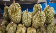 Tempat Makan Durian di Purbalingga Harga Mulai Rp30 Ribu Saja Makan Sampai Klenger