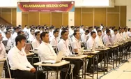 CPNS 2024 Lulusan SMA Ini Formasi dan Syarat Agar Lolos 