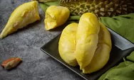 5 Tempat Makan Durian di Semarang Daging Premium Siap Antar 100 Ribu Dapat 3 Mukbang Sampai Klenger