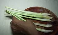 Auto Minggat! Cara Usir Nyamuk Pakai Air Rebusan Batang Serai Dijamin Ampuh, Campur dengan Satu Bahan Dapur Ini 