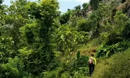 Ada Hutan Bawah Tanah di Tuban, Wisata Ekstrem dengan Panorama Luar Biasa