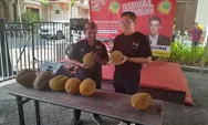 Cara Santai Kampanye Caleg PSI Andy Budiman, Bagi-bagi 700 Durian Gratis Bersama Warga Semarang