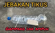 Belum Pernah Ada! Membuat Jebakan Tikus Paling Ampuh Modal Botol Bekas, Jaminan Rumah Bebas Tikus 