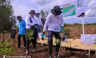 Jaga Kelestarian Alam, LPS Lakukan Pencanangan Rehabilitasi Ekosistem Mangrove di Cilacap