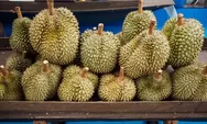 TOP 3 Kecamatan Penghasil Durian Terbanyak di Semarang, Salah Jika Kamu Sangka Gunung Pati! Ternyata...