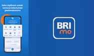  BRImo: Solusi Investasi yang Mudah, Pahami Dulu Perbedaan RDN dengan Rekening Bank untuk Pasar Modal