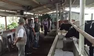 Peningkatan Produktivitas Sapi Perah di Batang Memenuhi Kebutuhan PT. Nestle Indonesia