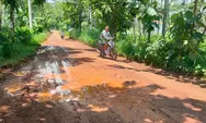 Rusak Parak Bertahun-tahun, Perbaikan Jalan Penghubung Desa Lebo dan Candiareng Batang Jadi Kenyataan