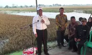 Prihatin Lihat Sawah Terendam Banjir di Kendal, Menteri Pertanian Bantu Pompa dan Mesin Kombi