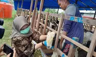 Waspada Belasan Kambing Kurban di Semarang Kena Penyakit Cacar, Tak Layak Jual Harus Dikembalikan
