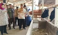 PT Nestle Indonesia Serap 800 Liter Susu Sapi Murni Setiap 2 Hari dari Desa Pacet dan Semampir