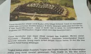 Kunci Jawaban Bahasa Indonesia Kelas 11 Halaman 3 Kurikulum Merdeka: Teks Deskripsi Candi Borobudur