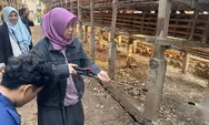 Hasil Inovasi Dosen Unisma Bantu Peternak Atasi Cemaran Ammonia Kandang Unggas