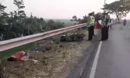Diduga Laka Tunggal, Dua Pemuda Tewas Usai Tabrak Pembatas Jalan di Arteri Weleri