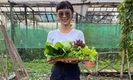 Belajar Sambil Piknik, Rekaloka Buka Kelas Berkebun dan Olah Pangan Sehat Bareng Semayur.id