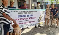 Kucing atau Anjing Anda ingin Vaksin Rabies, Ini Syarat dan Lokasinya
