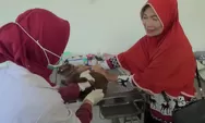 Meski Belum Ditemukan Kasus Rabies, Pencegahan Dini Dilakukan dengan Vaksin Gratis
