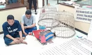 Terbukti Bekingi Judi Sabung Ayam di Genuk Semarang, Oknum Polisi Dijadikan Tersangka