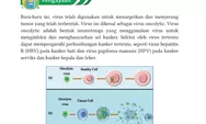 Kunci Jawaban IPA Kelas 10 Halaman 54 Kurikulum Merdeka: Pengayaan: Virus Oncolytic