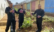 Inovatif! Lapas Batang Ubah Lahan Tidur Jadi Kebun Produktif