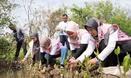 Peringati Hari Menanam Pohon, PLN Icon Plus SBU Regional Jawa Bagian Tengah Serahkan 1.000 Bibit Mangrove ke Grand Maerakaca