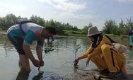 Cegah Abrasi Kian Parah, 1.000 Bibit Mangrove Ditanam RS PKU Aisyiyah Kendal