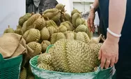 Sudah Saatnya Berburu Duren! Ternyata Ini Daerah yang Jadi Pusat Penghasil Durian di Kota Semarang