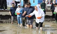 BRIN Apresiasi Pemkot Semarang dan PGN Cetak Sawah 20 Hektare Budidaya Padi Biosalin di Pesisir