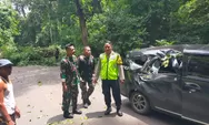 Penumpang Mobil ini Syok, Tertimpa Pohon Jati 100 Tahun Saat Melintas di Cagar Alam
