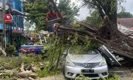 Hari Ini 20 Pohon Tumbang di Semarang Akibat Hujan Angin, Timpa Kabel PLN hingga Tutup Jalan