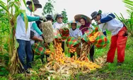 BRI dan Kelompok Tani Berau Tingkatkan Ekonomi Lewat Program Grow & Green