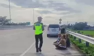 Bahayakan Nyawa, Polda Jateng Larang Pemudik Tidak Istirahat di Bahu Jalan Tol